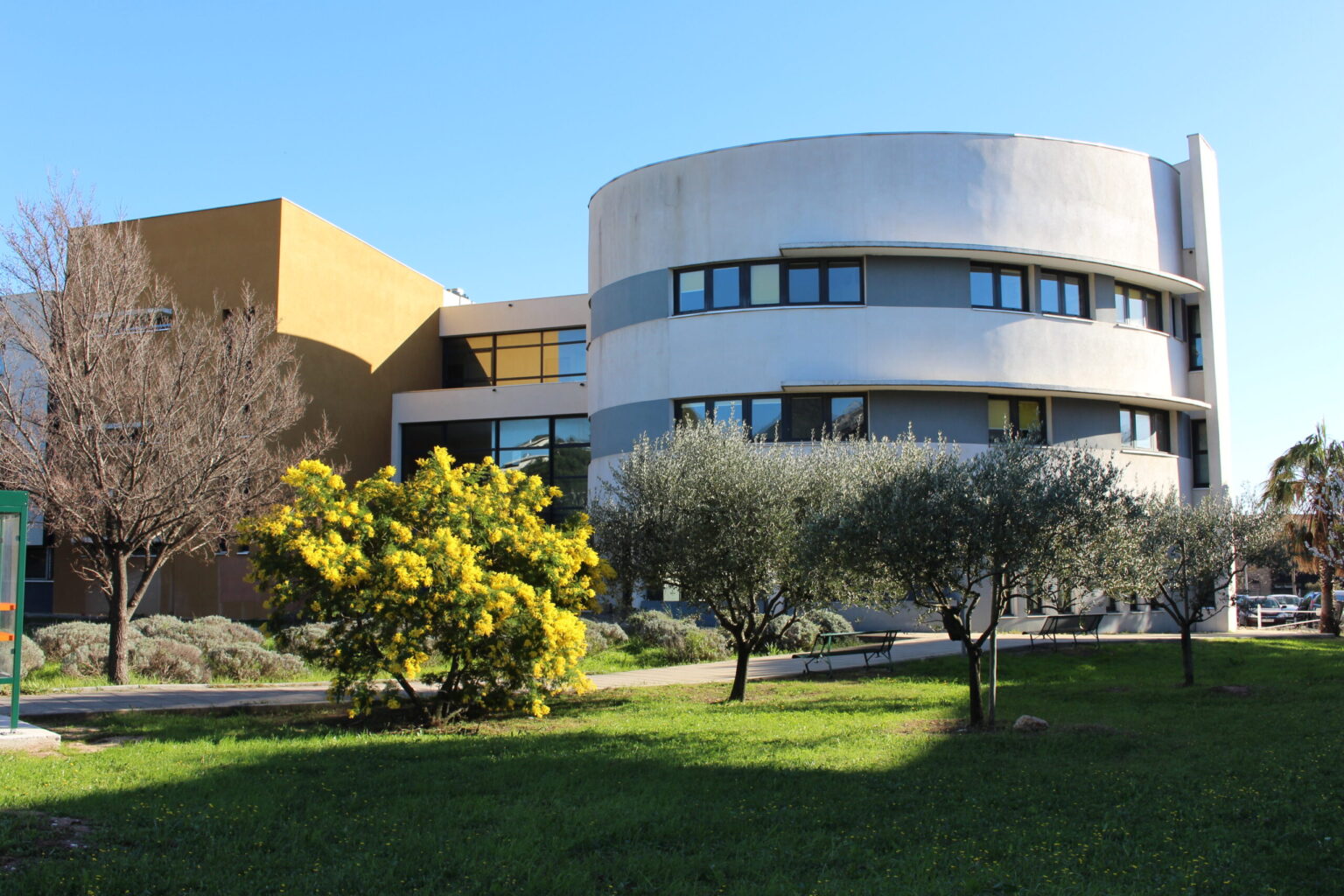 Staps Rona UFR STAPS - Faculté des Sciences du Sport
